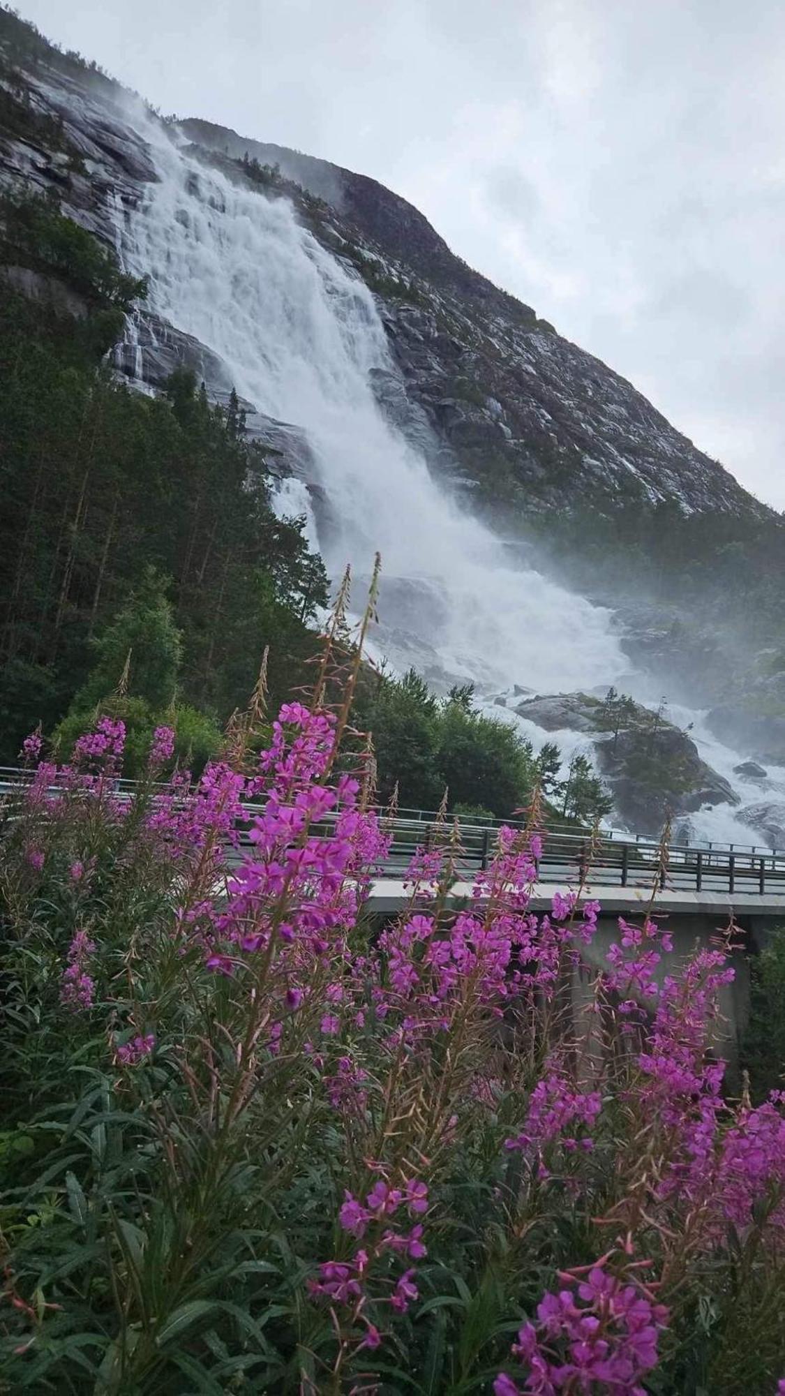 Hytto Villa Horre Exteriör bild